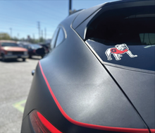 Vinyl Decals (Custom & Pre-Designed)
